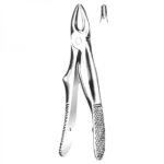 KLEIN UPPER ANTERIOR FORCEPS  STANDARD CLOSED BEAK - PEDO