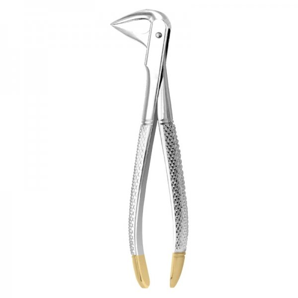 English forceps