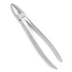 29 Extraction Forcep, 4mm
