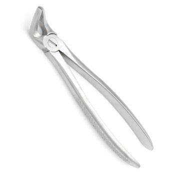 31 Extraction Forcep, 4mm