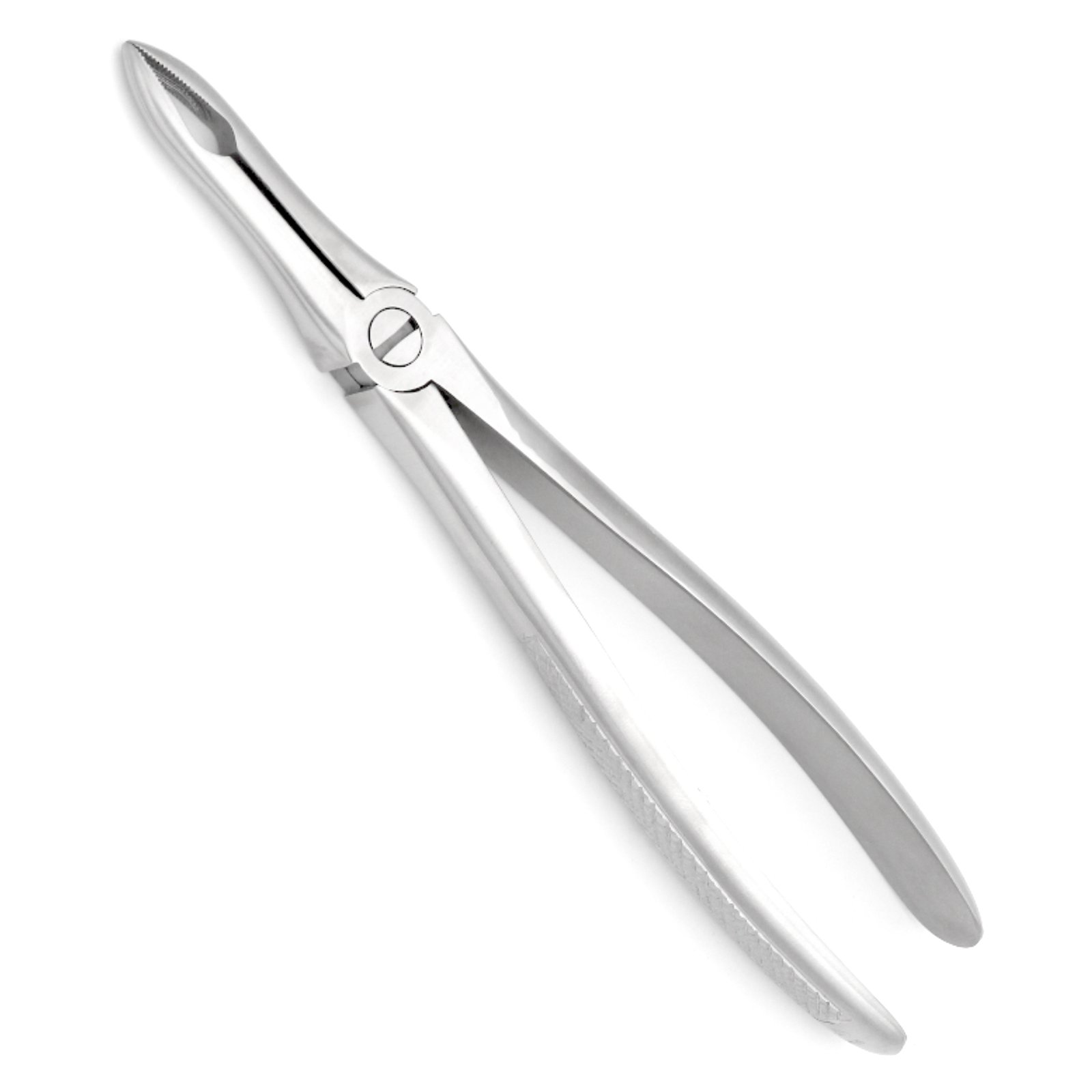 41 Extraction Forcep, Upper Roots