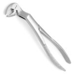 Routurier Extraction Forcep, Right