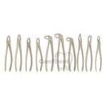 Tooth extraction forceps set of 10 pcs